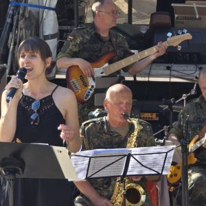 Altstadtfest Waiblingen